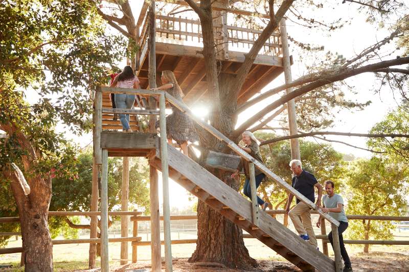 Multigeneration Family Climbing Outdoor Wooden Platform | How to Survive a Komodo Dragon Attack