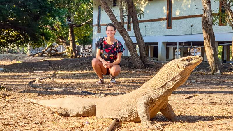 Woman Posing with Gigantic Venomous Komodo Dragon | How to Survive a Komodo Dragon Attack
