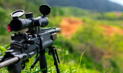 hunting firearms and ammunitions