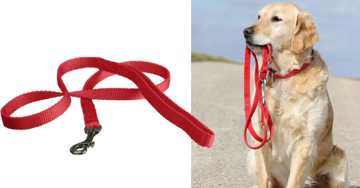 paracord dog leash