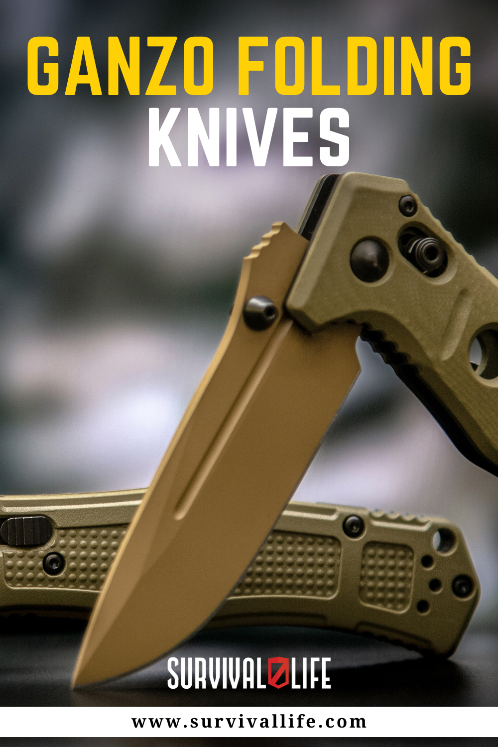 Ganzo Folding Knives