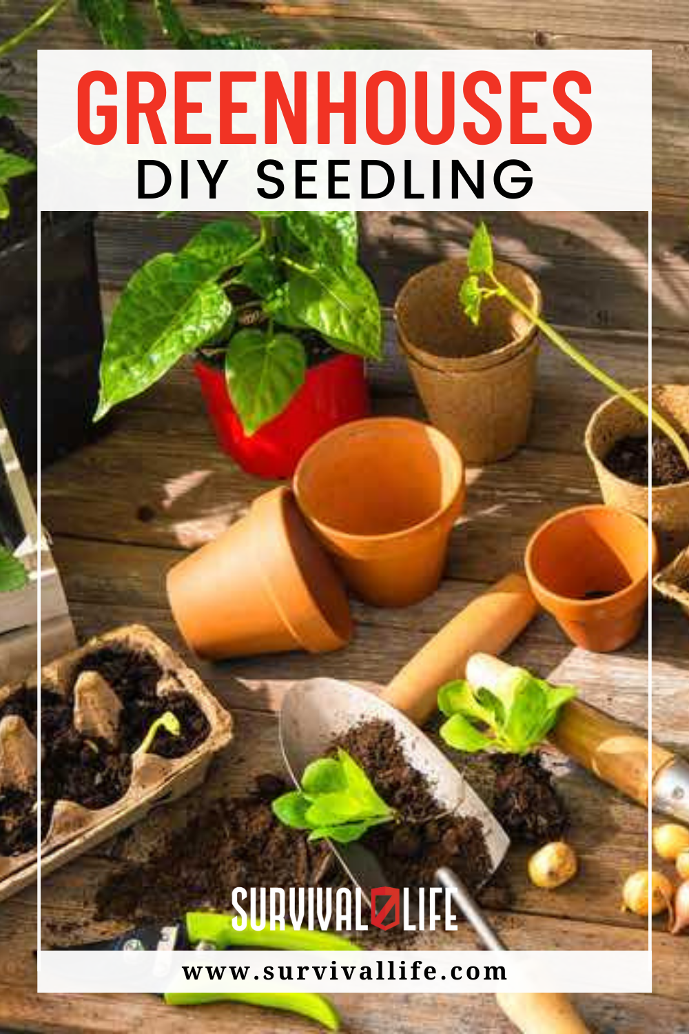 Seedling Greenhouses