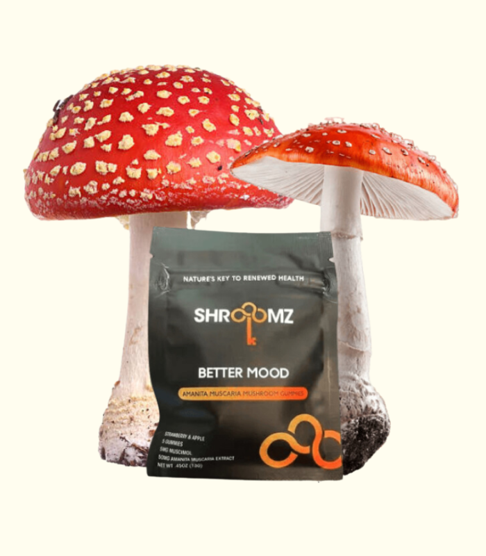 Amanita Shroomz Gummies