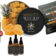 The Magic Mushrooms shop Products