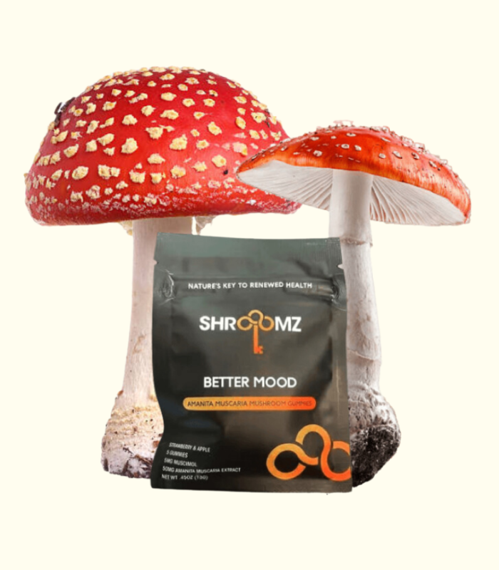 Buy Mighty Micro Mushrooms Online: Top 6 Best Products for Survival Life Amanita Shroomz Gummies 1