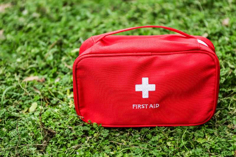 First aid kit on green grass outdoors What To Bring To A Picnic ss 1