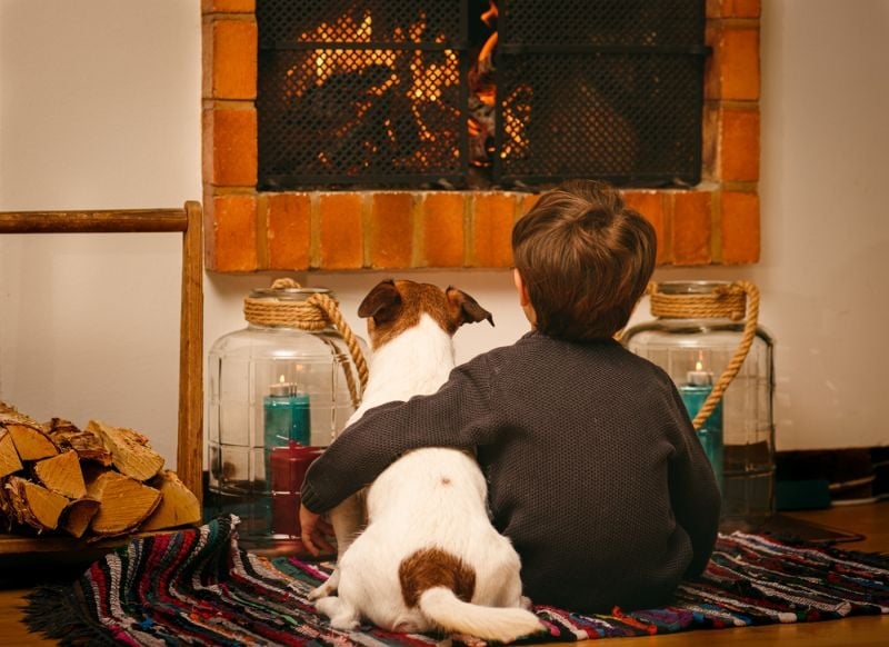 bored child dog staying home during Emergency Heating SS 1
