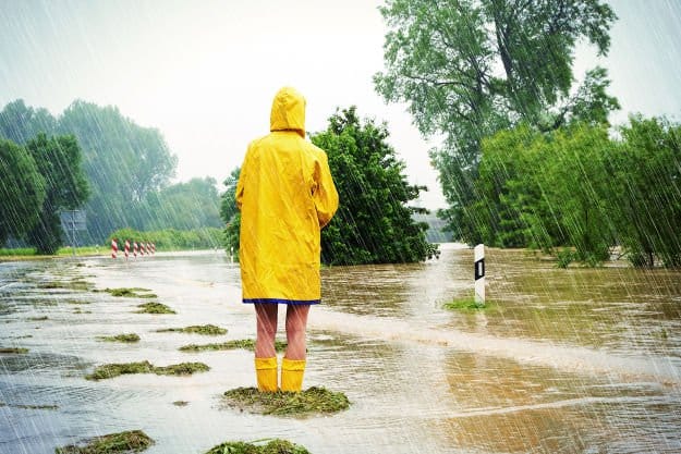 disaster survival surviving flood ss 1