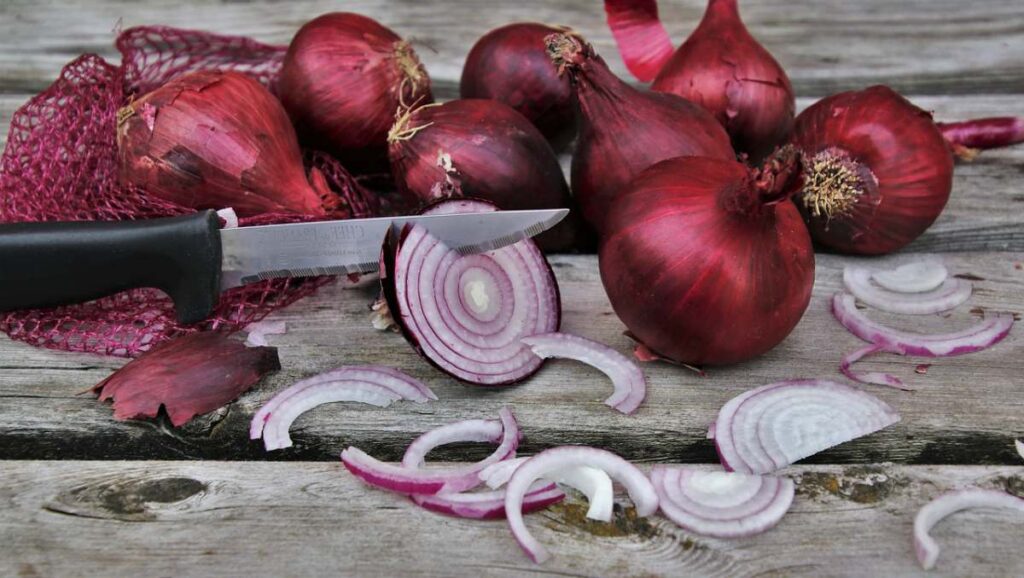 21 Home Remedies For Toothache Pain Relief onion slices red vegetables Home Remedies For Toothache pb 1