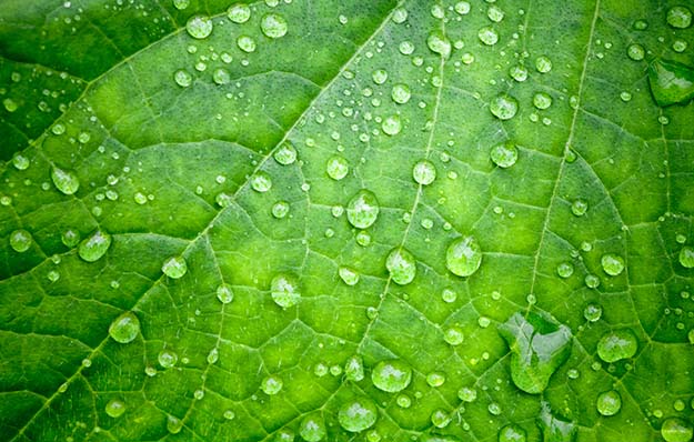 shutterstock 109178369 1