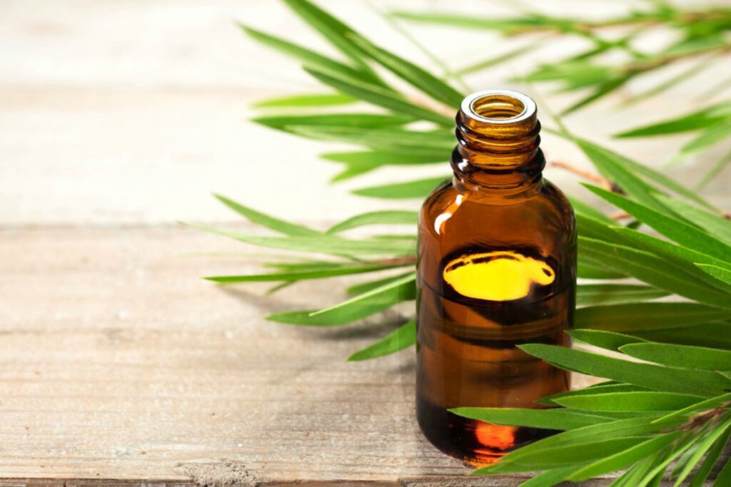 21 Home Remedies For Toothache Pain Relief tea tree oil amber glass bottle Home Remedies For Toothache ss 1