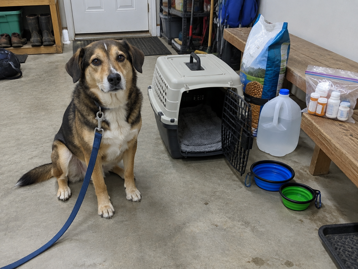 Flood Safety Plan for Families and Pets: Radios, Power Loss and a Way Out Dog on a leash beside a pet carrier, pet food, bowls, water and medicine packed for a flood evacuation